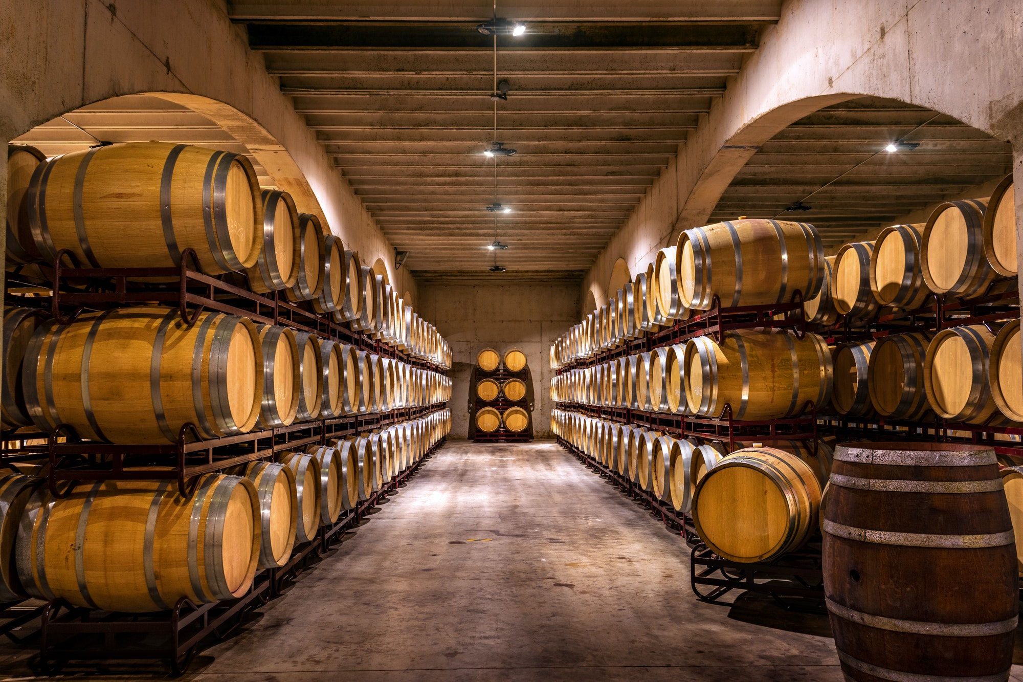 Wine cellar. Wine or whiskey barrels. French wooden barrels.